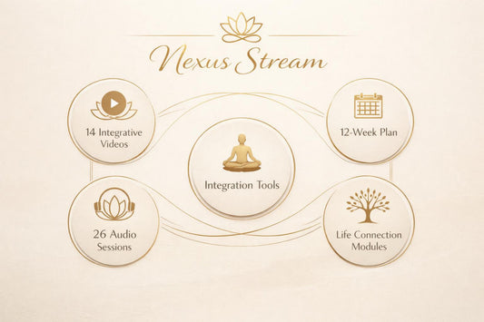 A beige promotional graphic for Nexus Stream showing a central meditating figure icon labeled 'Integration Tools' surrounded by five circular callouts: 14 integrative videos, 12-week plan, 26 audio sessions, life connection modules, and a lotus icon above the title.